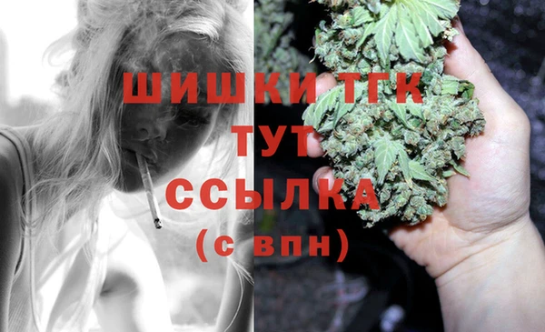 молекула духа Алексин